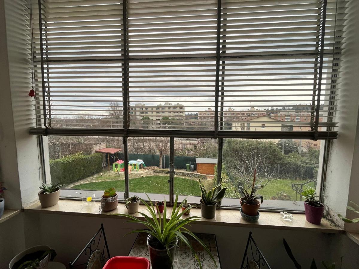לינה וארוחת בוקר בולוניה Casa Filippini מראה חיצוני תמונה